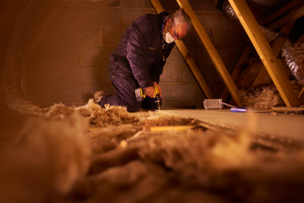 Best Types of Insulation in Cedar Glen Lakes, NJ